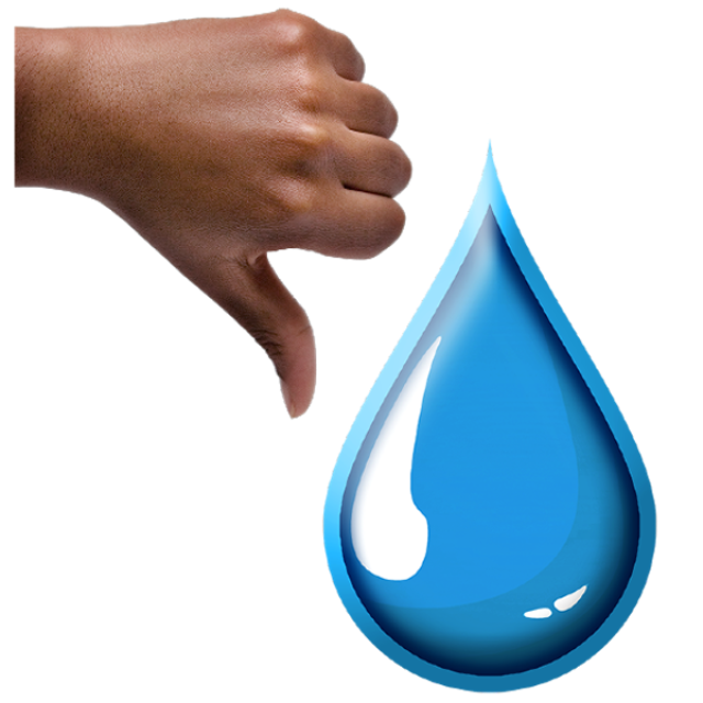 (easy read) SeeAbility